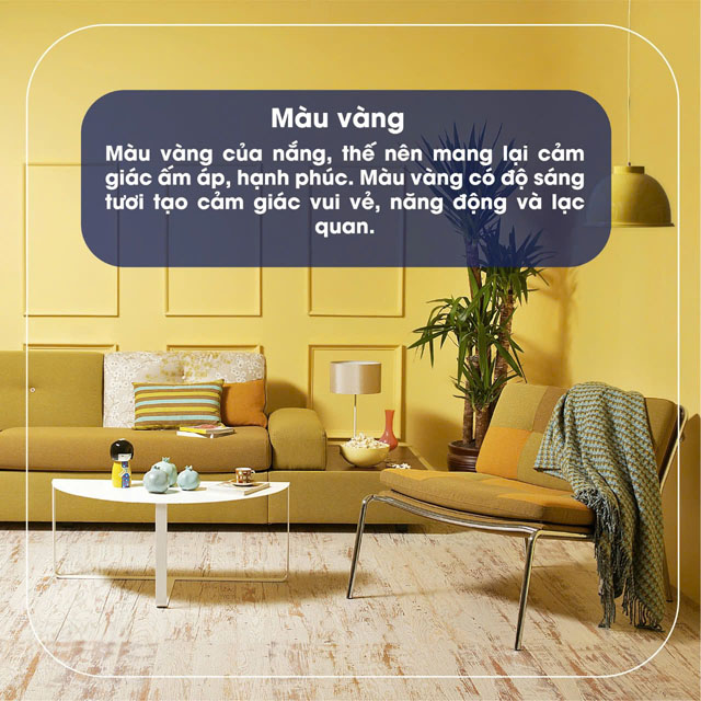 Màu vàng – Sắc màu đem lại may mắn và tài lộc !